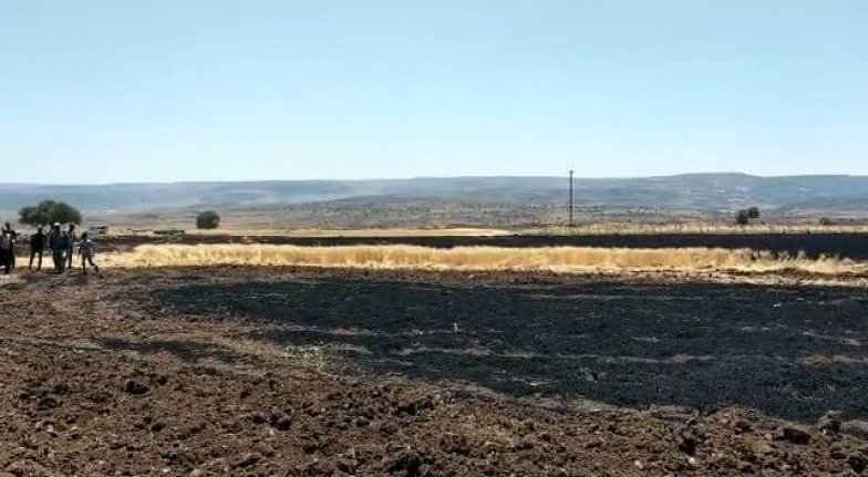Kahramanmaraş’ta 8 dönüm buğday tarlası yandı  